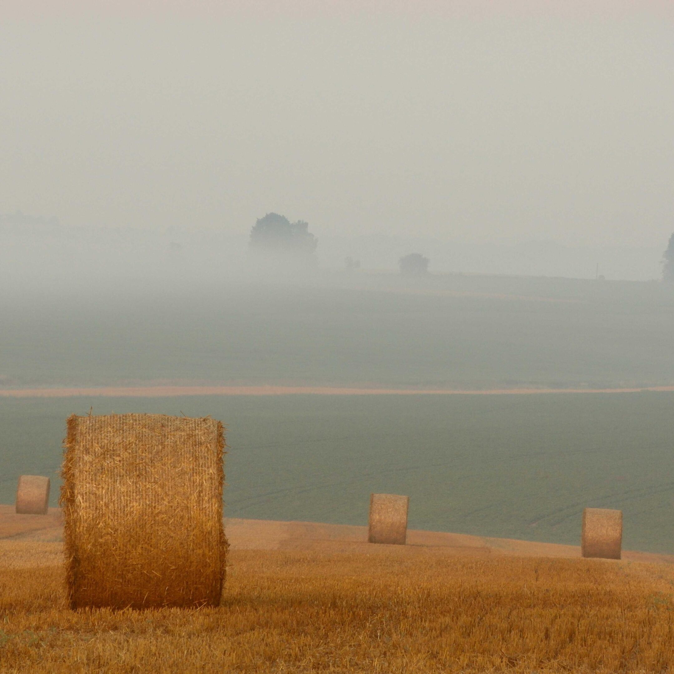 Kontrastreich